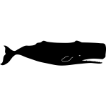 Sperm whale vector graphics